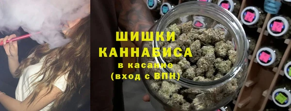 прущие грибы Красноперекопск