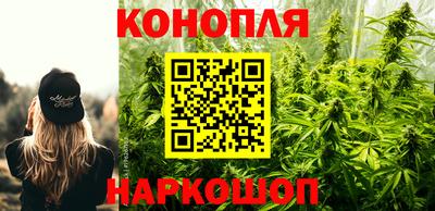 амф Кандалакша
