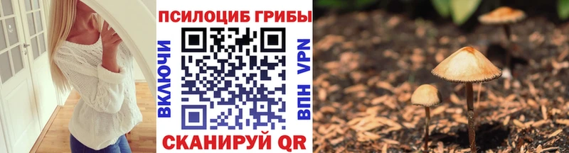 KRAKEN   наркошоп  Михайловка  Псилоцибиновые грибы GOLDEN TEACHER 