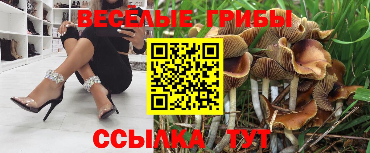 Кокаин  Гашиш  Михайловка  Меф МЯУ МЯУ   ГЕРОИН  Каннабис  Меф МЯУ МЯУ кристаллы 