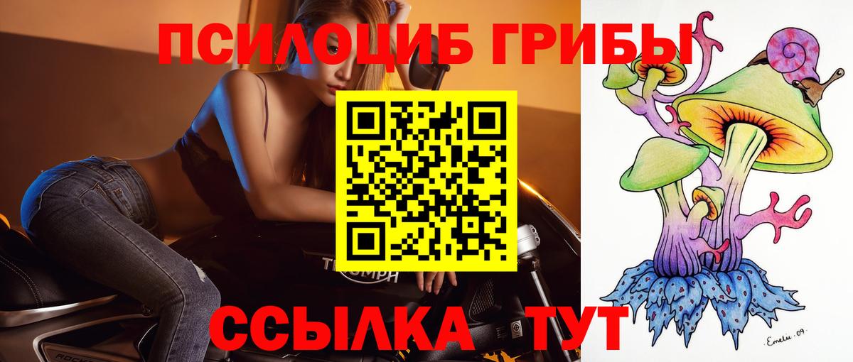 Псилоцибиновые грибы Psilocybine cubensis Михайловка