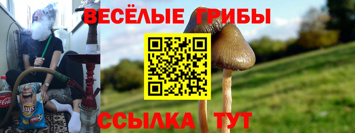 Галлюциногенные грибы MAGIC MUSHROOMS Михайловка
