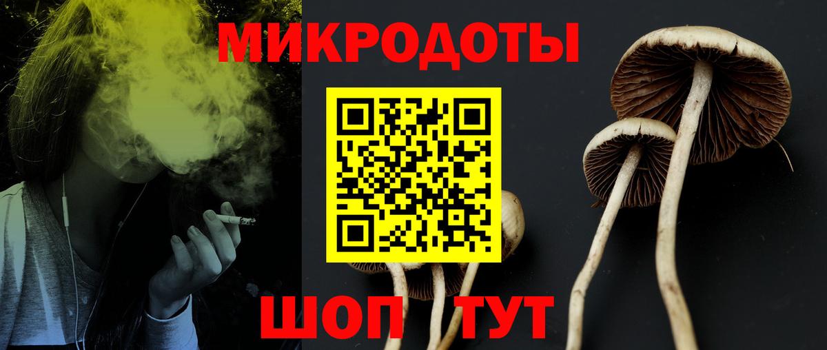Галлюциногенные грибы прущие грибы  Псилоцибиновые грибы Psilocybe  где купить   Вход с VPN  Михайловка 